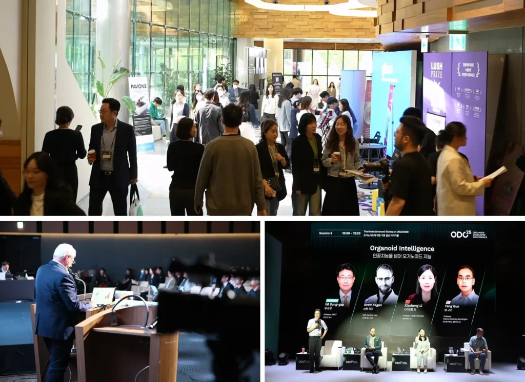About ODC25 ASEAN