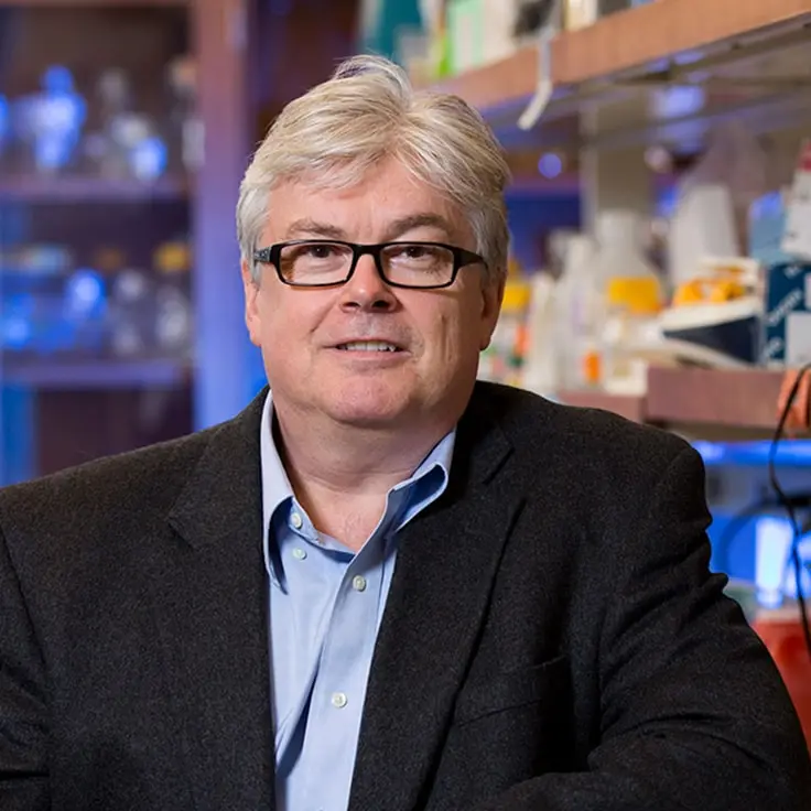 Stephen Dalton